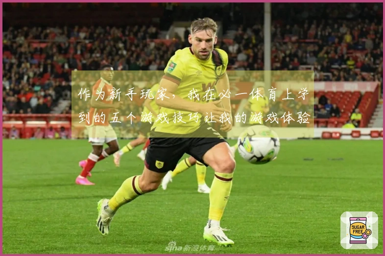 作为新手玩家，我在必一体育上学到的五个游戏技巧让我的游戏体验大幅提升
