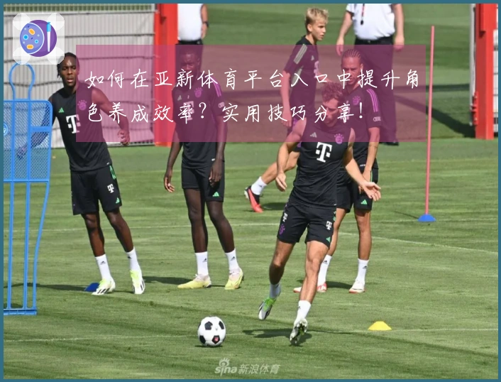 如何在亚新体育平台入口中提升角色养成效率？实用技巧分享！