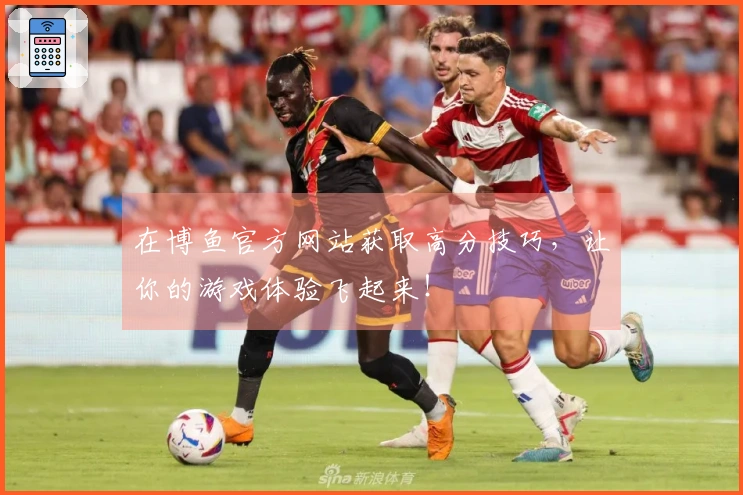 在博鱼官方网站获取高分技巧，让你的游戏体验飞起来！